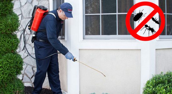 Çukurova Gümüşkurt İlaçlama böcek ilaçlama ve haşere kontrolü — ilaclama-tr.com